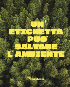 All Around Factory - Torino